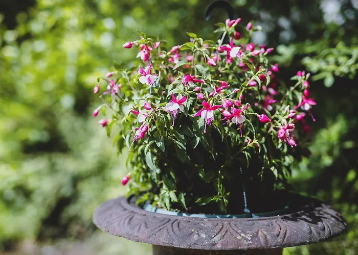 Апартаменты By We Rent